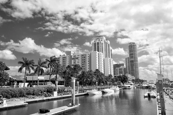 Marina Miami Beach, Florida, ABD — Stok fotoğraf