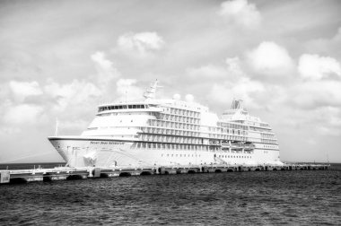 Büyük yolcu gemisi