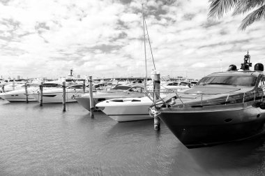 Miami marinasında yatlar, güney sahilinde bulutlu bir gökyüzü.