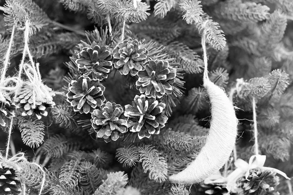 Pinho cone grinalda de natal — Fotografia de Stock