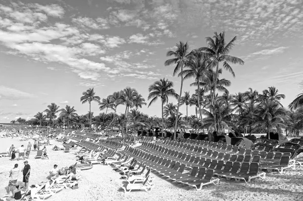 Insanlar sandalye ve avuç içi ile halk plajı — Stok fotoğraf