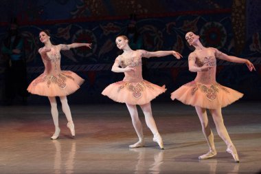 Bale dansçısı balerin bale sırasında Corsar