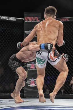 Şu yüzüğe MMA fighters mücadele