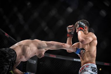Şu yüzüğe MMA fighters mücadele