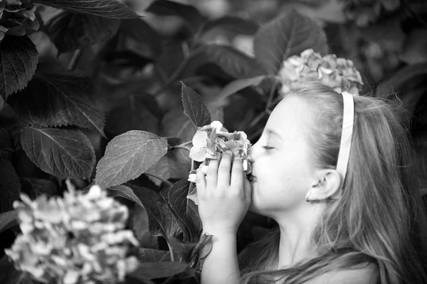 Pequena menina com rosto sorridente entre flor de hortênsia rosa — Fotografia de Stock