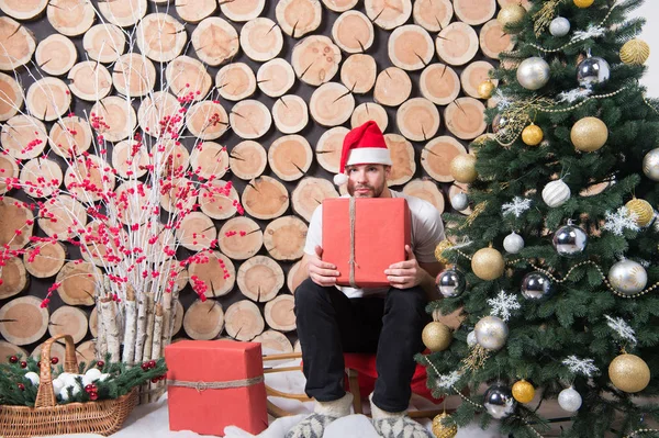 Árbol de Navidad, trineo, cesta, nieve, arbusto de bayas rojas, decoraciones — Foto de Stock