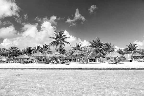 해변에서 바다 물, 녹색 손바닥, 우산, 코스타 마 야, 멕시코 — 스톡 사진