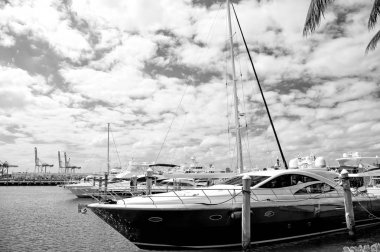 Marina Miami Beach, Florida, ABD