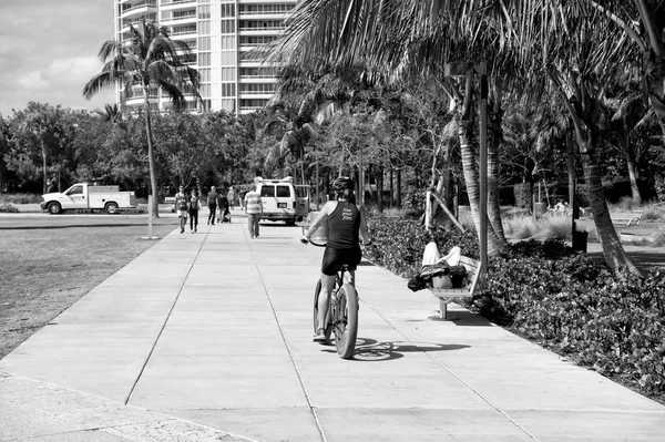 Miami. Südstrand. Straße mit Palmen — Stockfoto