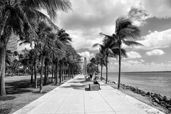 Miami. Playa Sur. Calle con palmeras — Foto de Stock