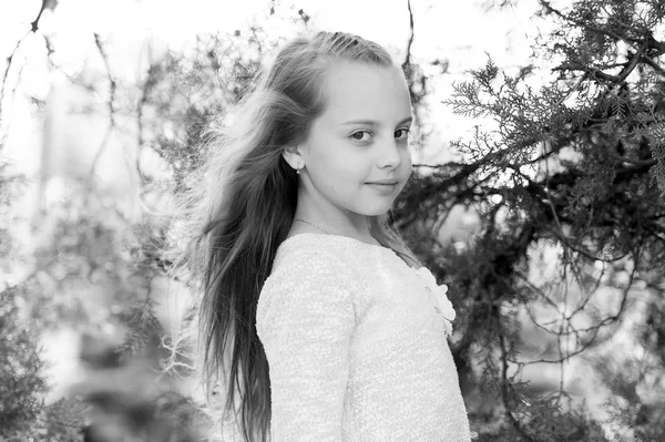 Retrato de uma linda menina princesa feliz — Fotografia de Stock