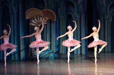 Bale dansçısı balerin bale sırasında Corsar