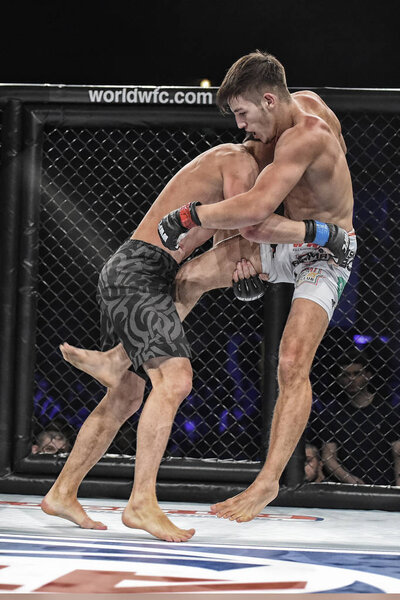 мма бойцы дерутся на ринге
