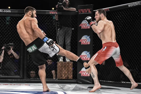 Bojovníků MMA bojovat v ringu — Stock fotografie