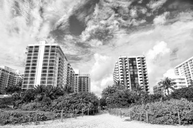 Miami beach ya da Güney plaj. yüksek doğmak, apartmanlarda veya evler yol yol yeşil palmiye ağaçları ile tropikal plaj. Şehir manzarası ile güneşli günde bulutların üstünde mavi gökyüzü. Pastoral yaz tatili