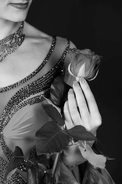 Παρόντες Δώρο Βαλεντίνων Έκπληξη Τριαντάφυλλο Λουλούδι Στο Γυναικείο Χέρι Στο — Φωτογραφία Αρχείου
