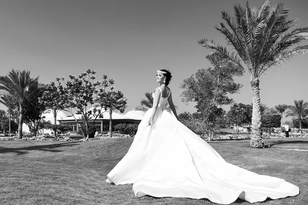 婚礼礼服白色颜色美丽的女人 女孩有时尚化妆和头发站在户外阳光灿烂的夏天 在自然背景下 在节日庆典上新娘 — 图库照片