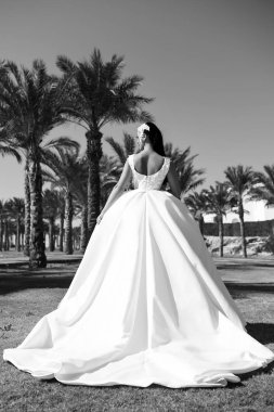 Zerafet ve eski model. Düğün moda ve Güzellik Salonu. Gelin ve düğün töreni. Beyaz elbiseli kadın. Palmiye ağacı, elbiseli kız.