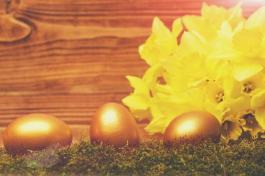 Geleneksel Paskalya altın yumurtası, bahar sarısı narsisli çiçek