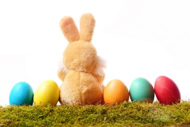 tavşan oyuncak, yeşil yosun beyaz izole tarih Paskalya yortusu yumurta