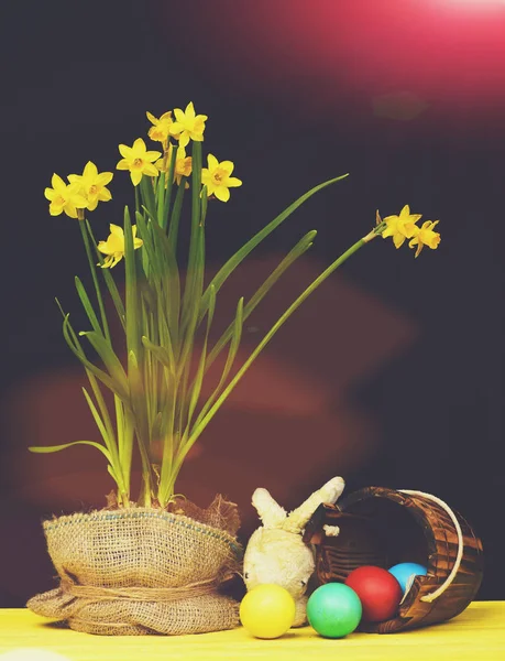 Spring still life — Stock Photo, Image