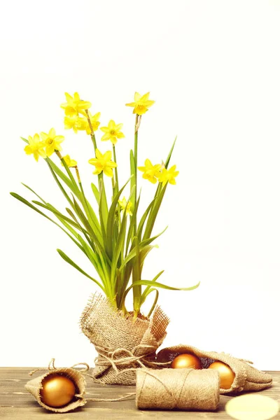 Primavera narciso amarelo, ovos de páscoa dourada e linha ou corda — Fotografia de Stock