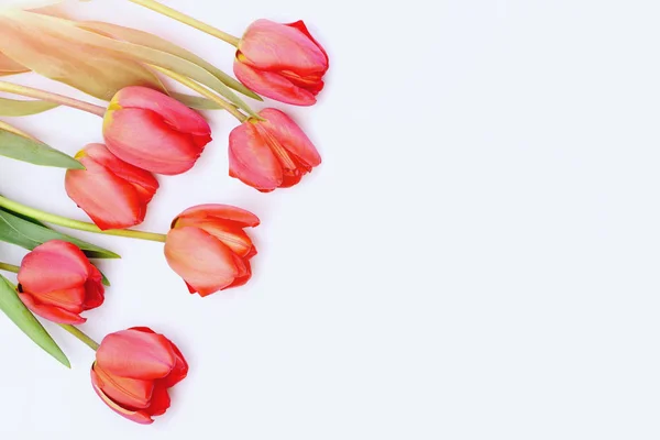 Ramo de flores para el día de las mujeres. Tulipanes en color rosa —  Fotos de Stock