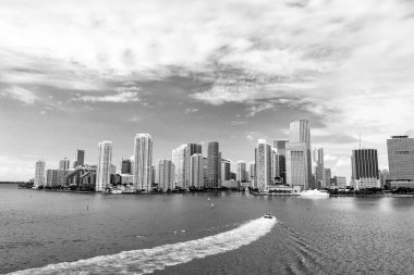 Miami manzarası gökdelen