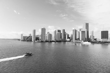 Miami manzarası gökdelen