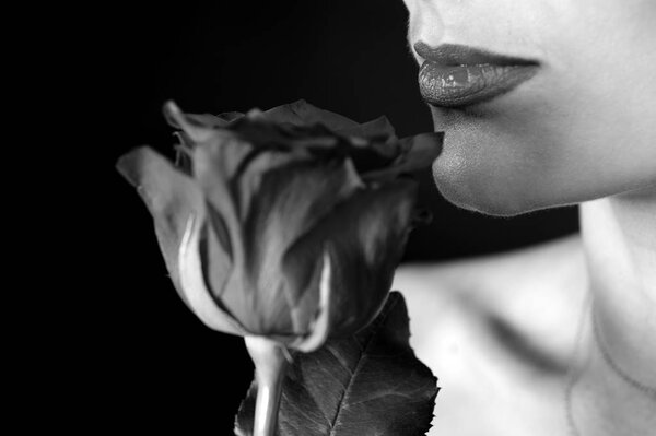 Woman or girl and rose, sensual lips. Valentines day concept. fashion and beauty, romantic. luxury make up perfect skin