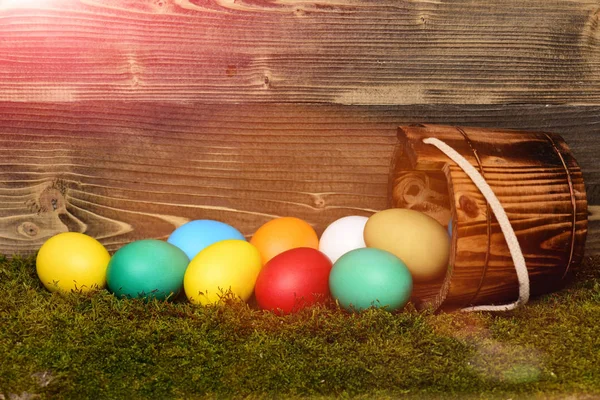 Розмальовані великодні барвисті яйця в дерев'яному відрі з зеленим мохом — стокове фото