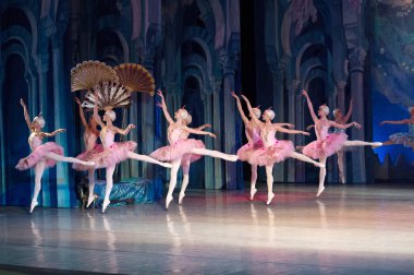 Bale dansçısı balerin bale sırasında Corsar