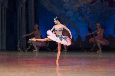 Bale dansçısı Katerina Kukhar sırasında Corsar bale