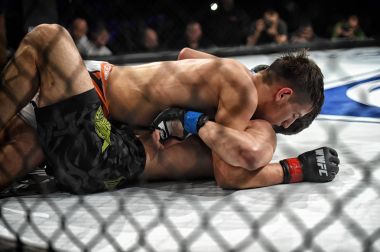 Şu yüzüğe MMA fighters mücadele