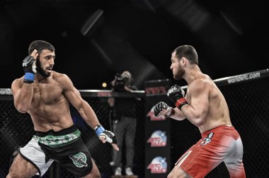 Şu yüzüğe MMA fighters mücadele