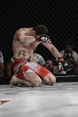 Şu yüzüğe MMA fighters mücadele