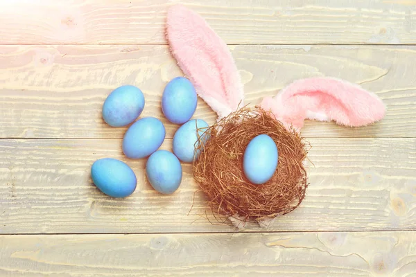 巣のある青い色で描かれた伝統的な卵 — ストック写真