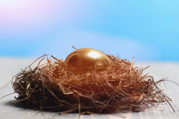 Птичье гнездо с традиционным покрашенным золотым яйцом, банк, Пасха — стоковое фото