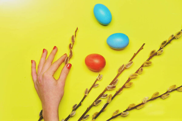 пружинная ветвь ивы, женская рука с разноцветными окрашенными пасхальными яйцами
