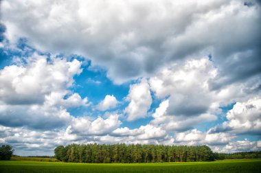 Bulutlu mavi gökyüzü üzerinde yeşil orman ile manzara