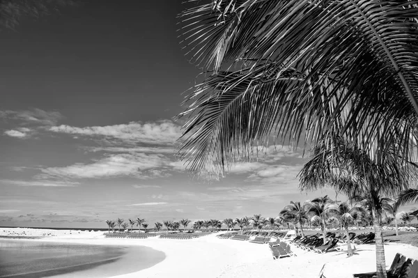하얀 모래에 라운지의 자와 해안 — 스톡 사진