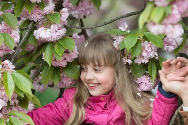Küçük çocuk sakura çiçekler, Bahar