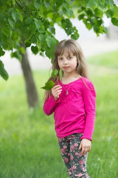 少女は、若い緑の植物を保持します。 — ストック写真