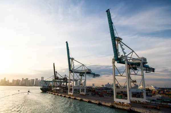 Miami, Usa - 18 marca 2016: handel, handel, biznes. Port morski kontener z statek towarowy, żurawie. Port morski, terminal lub stacja dokująca. Spedycja, dostawy, logistyka, towar — Zdjęcie stockowe