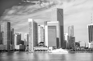 Miami manzarası gökdelen