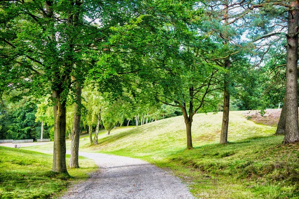 Natur, miljö och ekologi koncept. Vandringsled bland gröna träd, ekologi. Sökvägen i våren eller sommaren skog, natur. Vägen i trä landskap, miljö. — Stockfoto