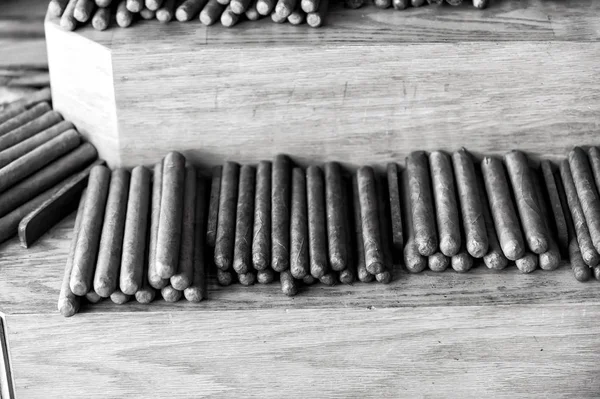 Сигары листьев табака в Ки-Уэсте, США — стоковое фото
