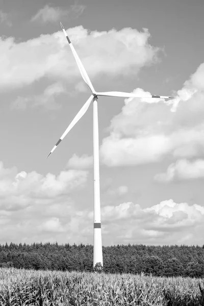 Alternative energy source — Stock Photo, Image