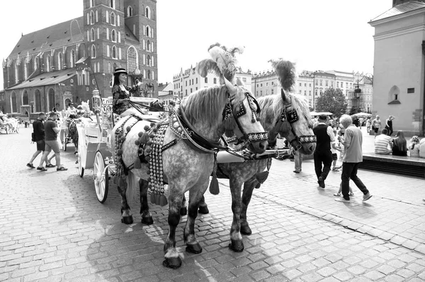 Reiterinnen laden zu Kutschfahrt in Krakau, Polen — Stockfoto