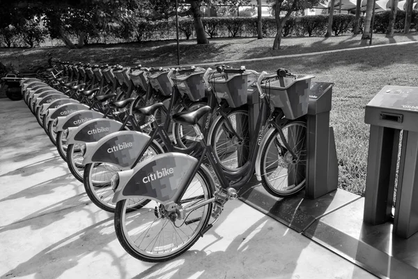 Citibike 블루 역에서 임대 자전거 — 스톡 사진